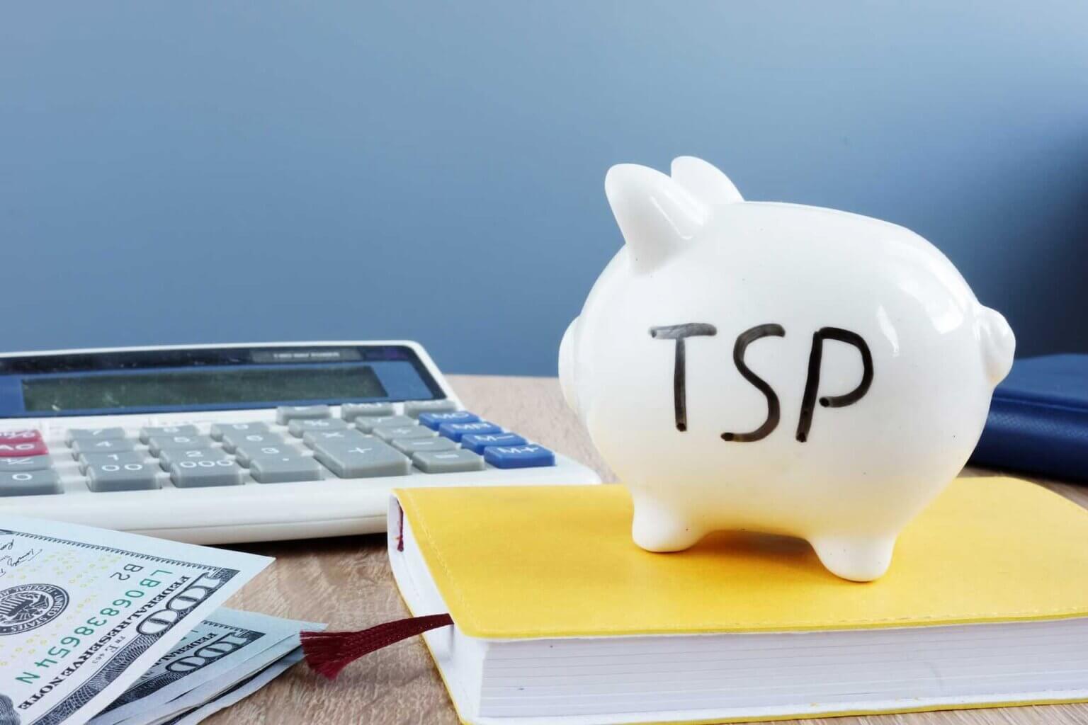 Best TSP Funds To Invest In 2024 In America