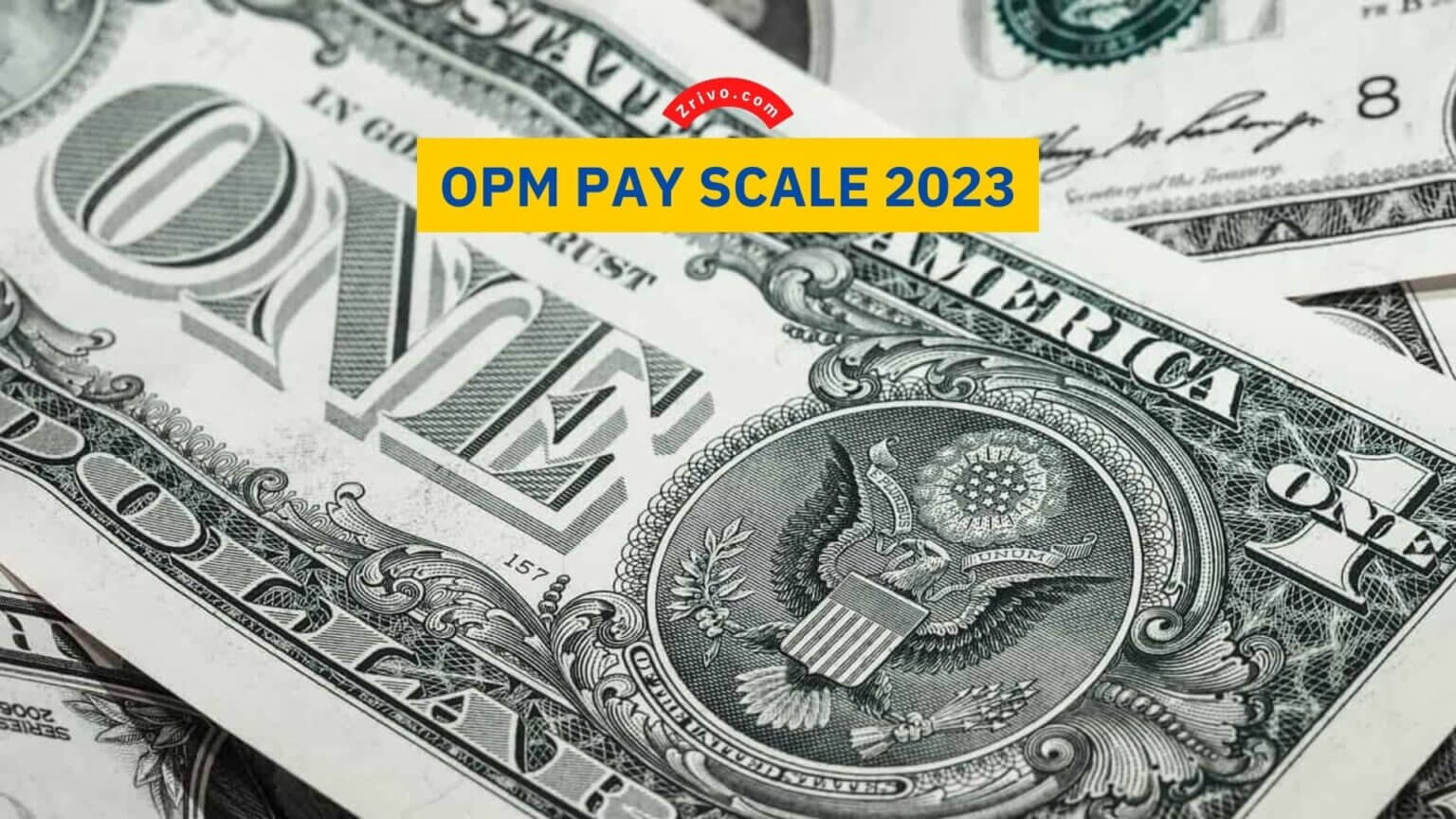 Opm Pay Scale Colorado Springs