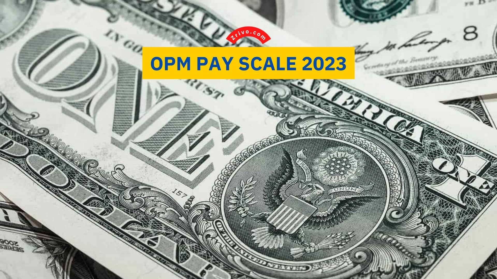 OPM Pay Scale 2023