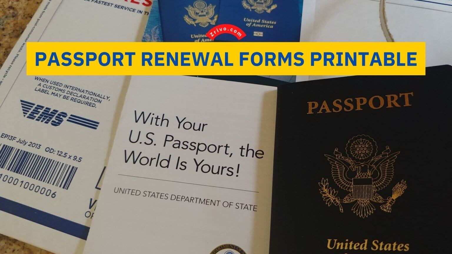 Passport Renewal Forms Printable 2024