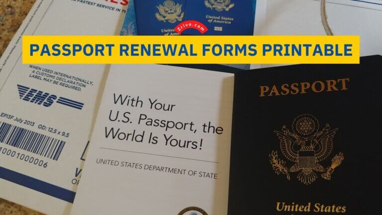 Passport Renewal Forms Printable Zrivo Cover 1 768x432 