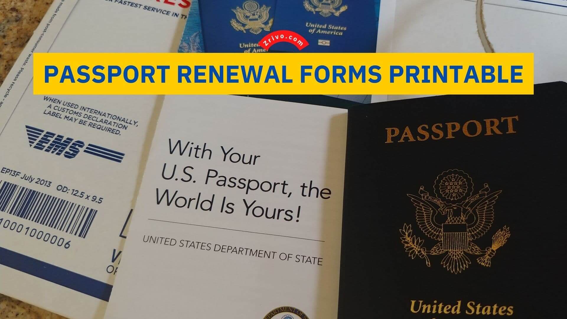 Passport Renewal Forms Printable 2023