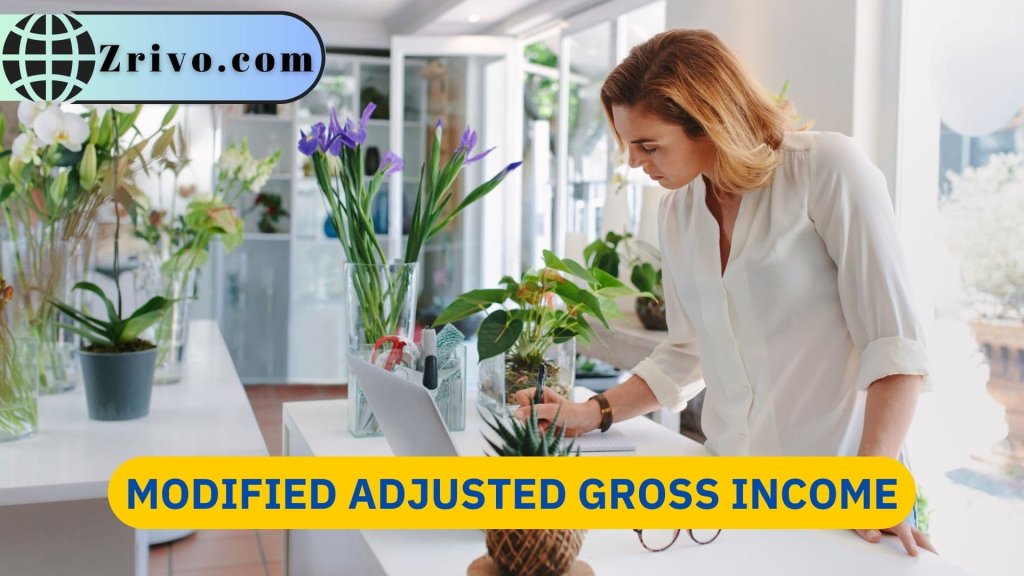 Modified Adjusted Gross Income 1024x576 