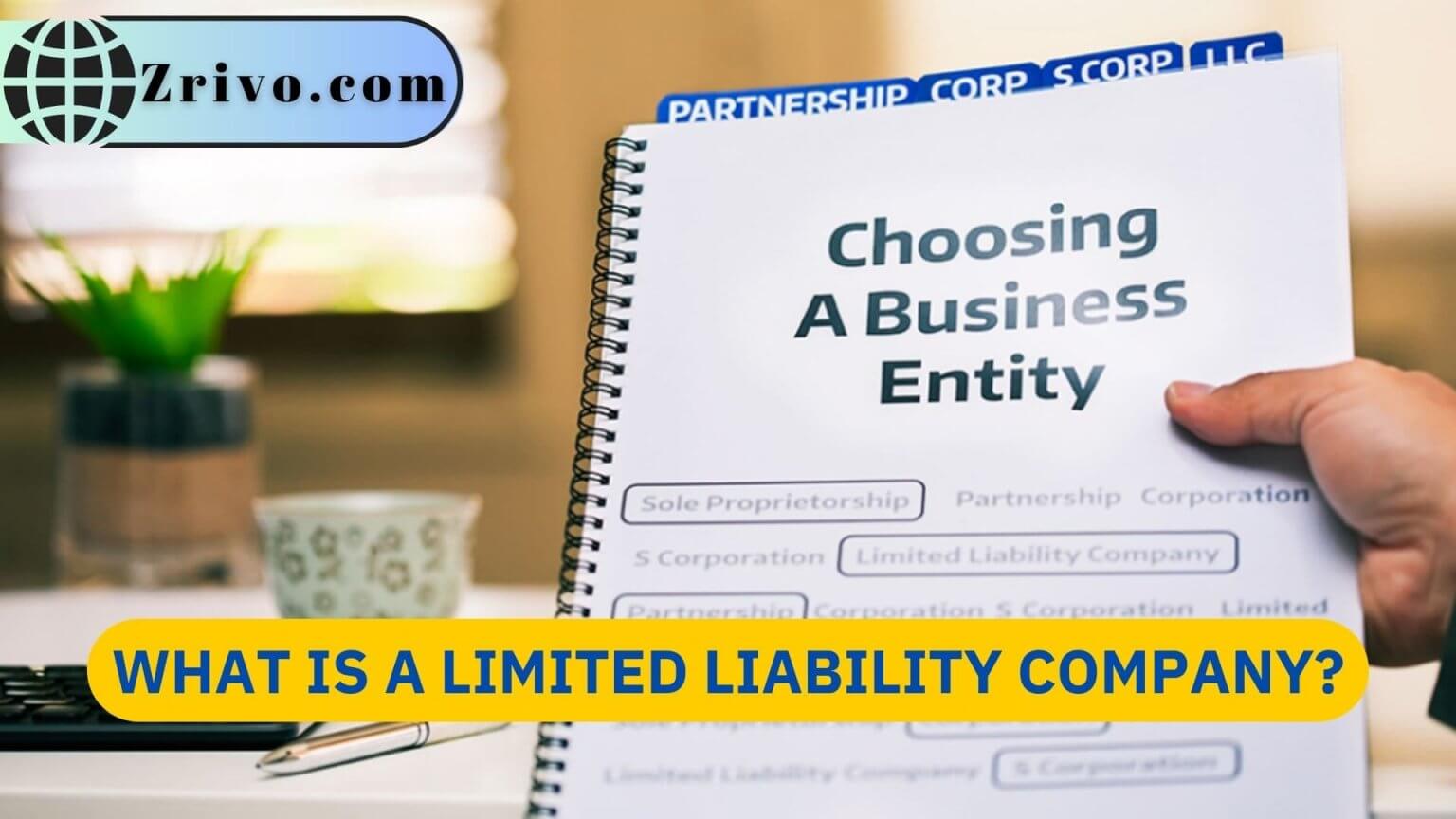 Define A Limited Liability Company