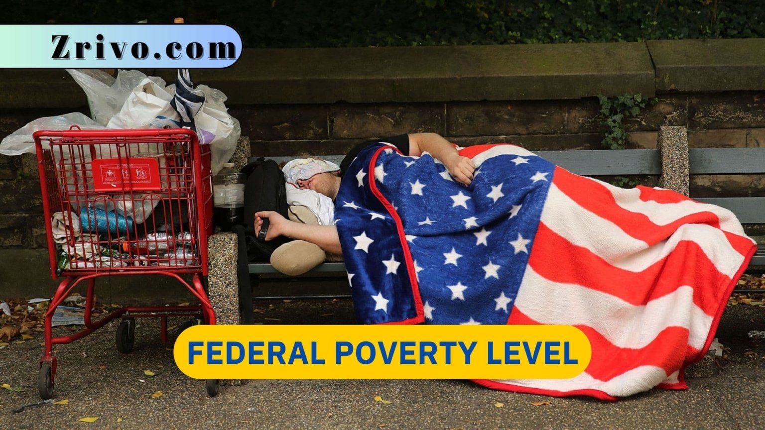 Federal Poverty Level 2024
