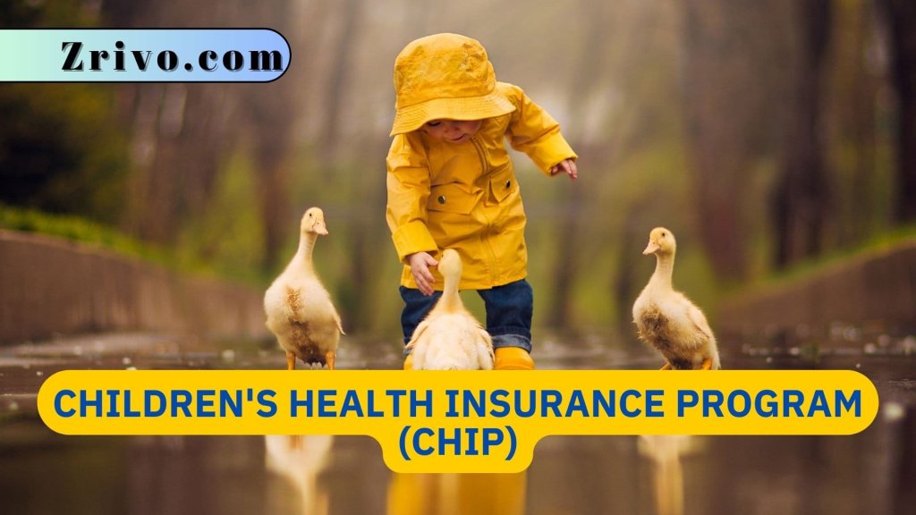 Children's Health Insurance Program (CHIP)