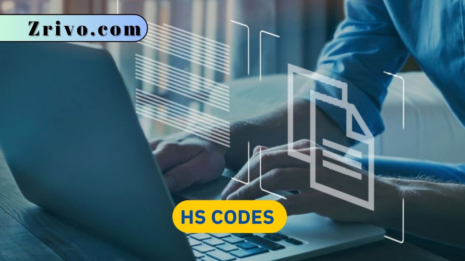 HS Codes 2024