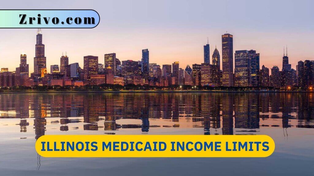 Illinois Medicaid Limits 2024