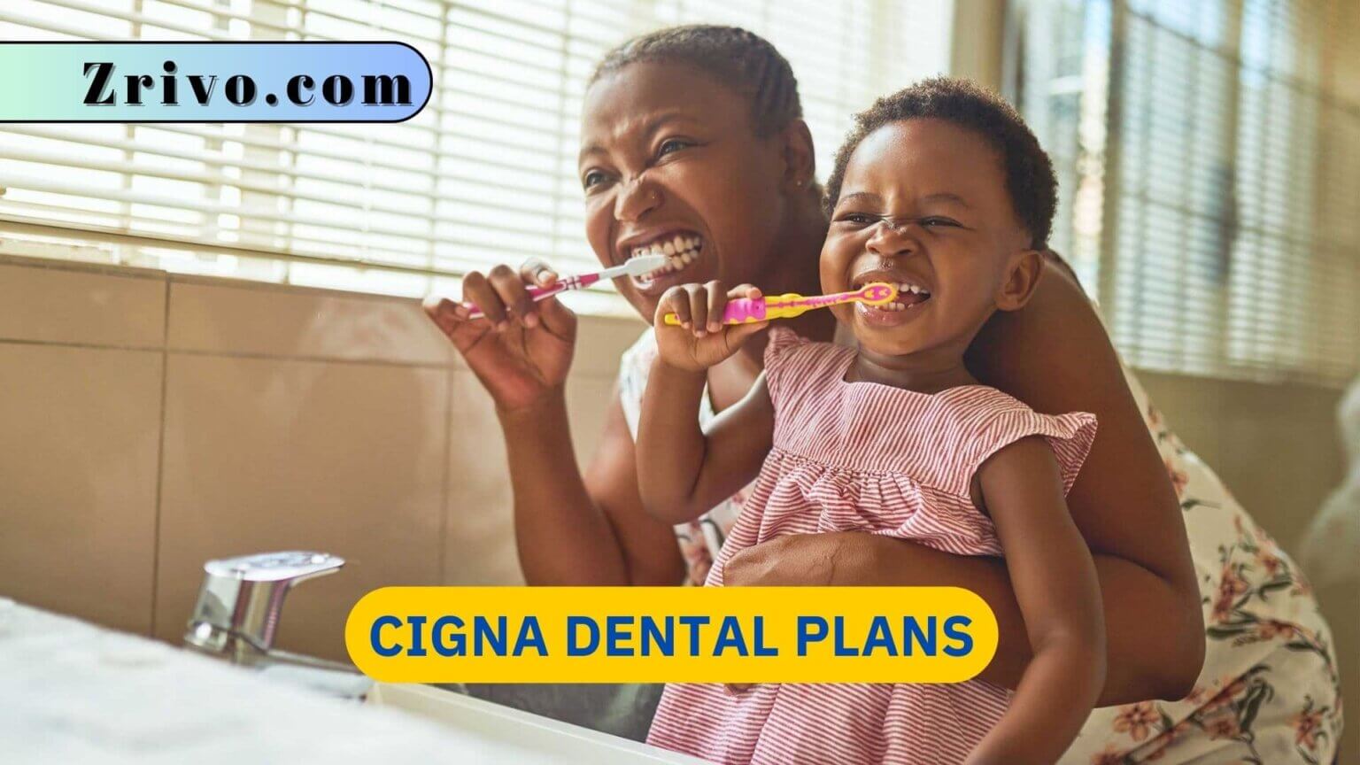 Cigna Dental Plans 2024