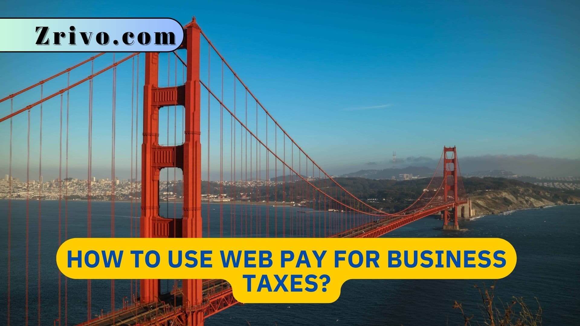 How To Use Web Pay For Business Taxes?