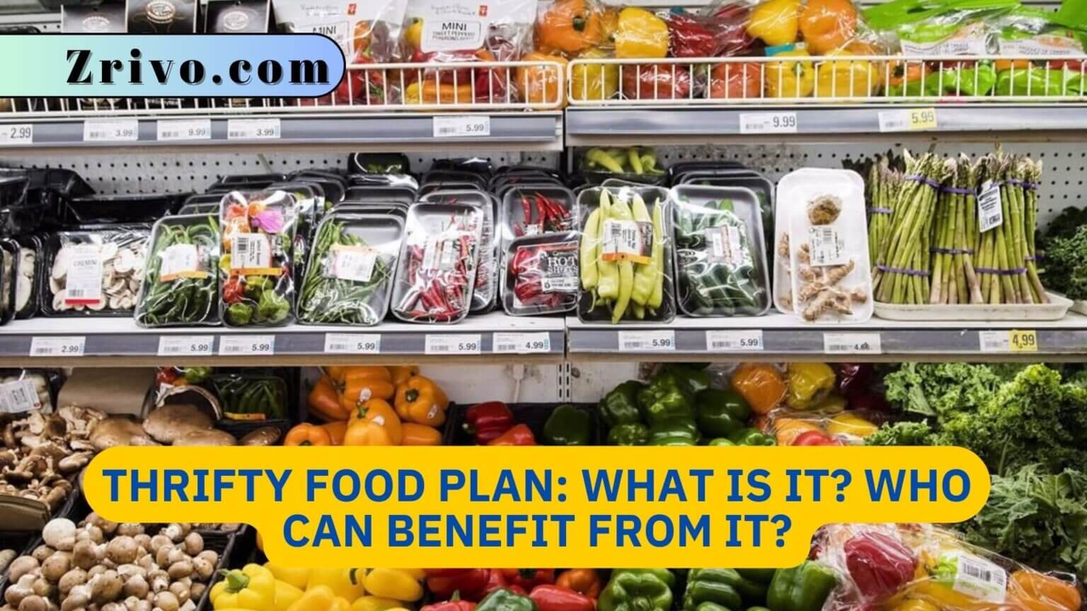 Thrifty Food Plan What Is It? Who Can Benefit From It?