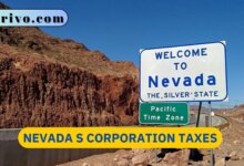 Nevada S Corporation Taxes