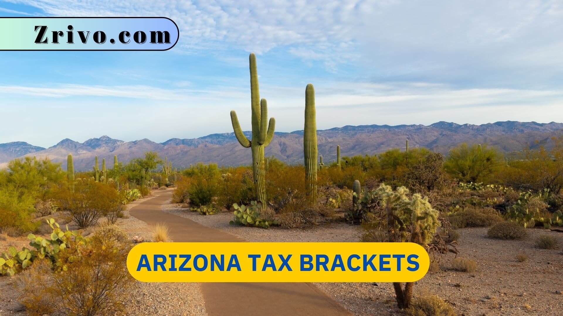 Arizona Tax Brackets 2023 2024